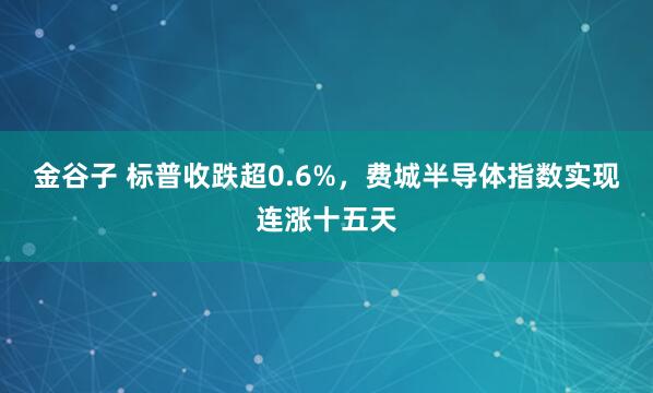 金谷子 标普收跌超0.6%，费城半导体指数实现连涨十五天